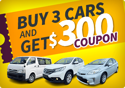 Buy 3 Cars and Get $300 Coupon Campaign