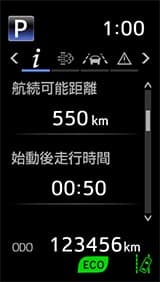 Multi-information Display