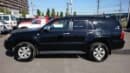 Hilux surf