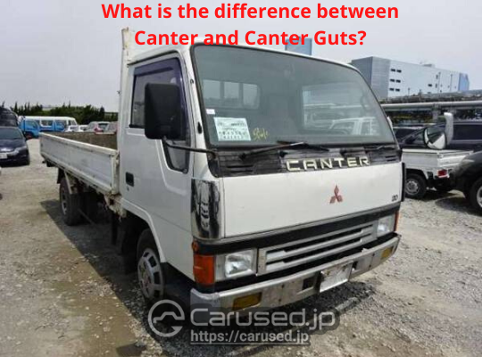 You are currently viewing [Clear explanation!] What is the difference between Canter and Canter Guts?
