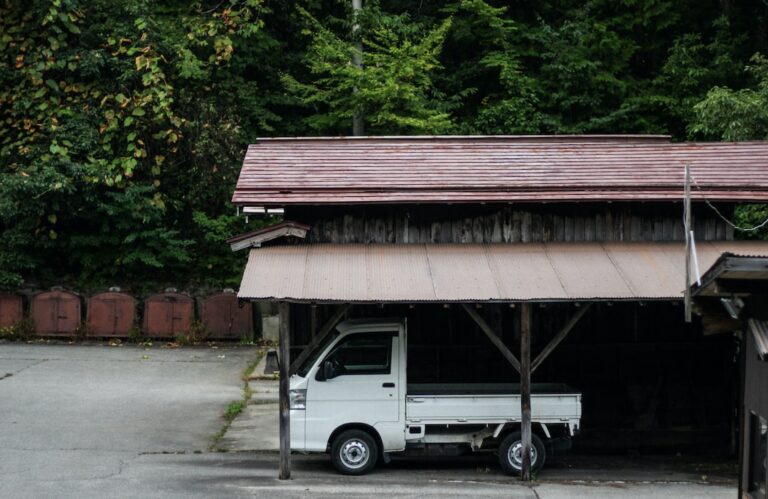 Small But Mighty: A Subaru Sambar Truck Review