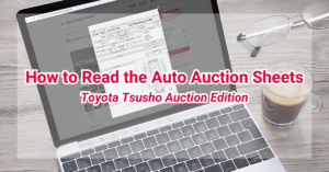 Read more about the article How to Read the Auto Auction Sheets: TTA Edition